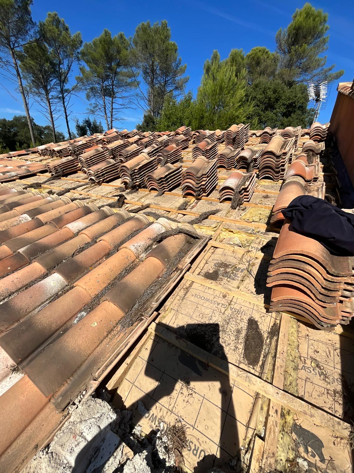 WhatsApp Image 2025-09-20 at 21.24.37